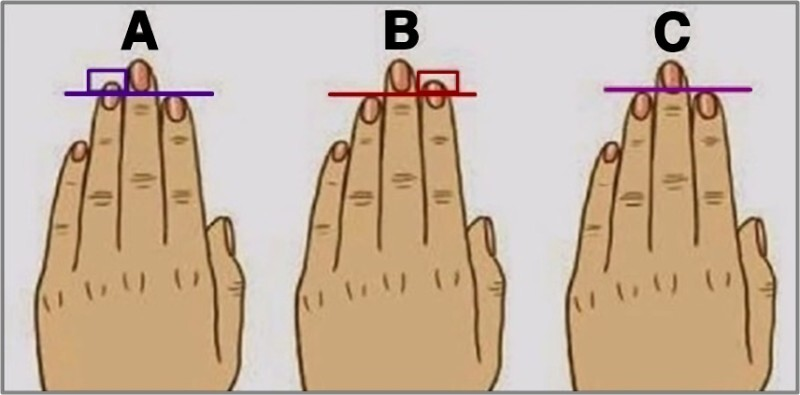 "주변 사람들과 손가락을 비교해 보세요" 손가락 타입으로 당신의 숨겨진 성격과 특징을 알수 있습니다.