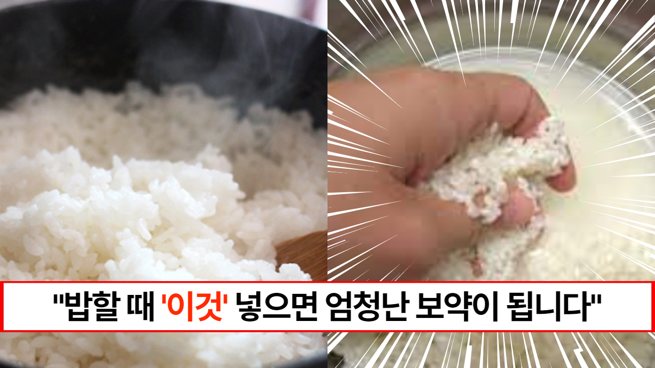 "쌀에 이것을 섞어보세요" 소화기능이 약하신분, 몸이 차가우신분들에게 보약이 됩니다.
