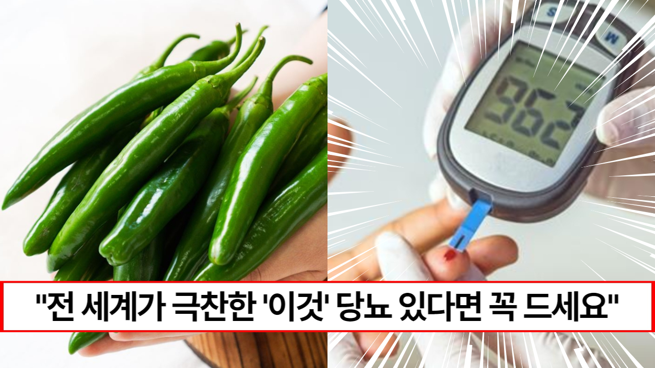 "당뇨약 대신 이거 드세요" 섭치 후 바로 혈당 수치가 내려가는 엄청난 한국산 슈퍼푸드